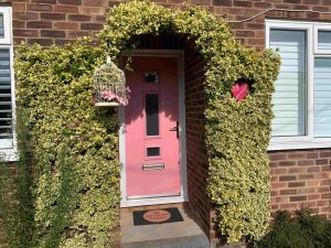 Pink door